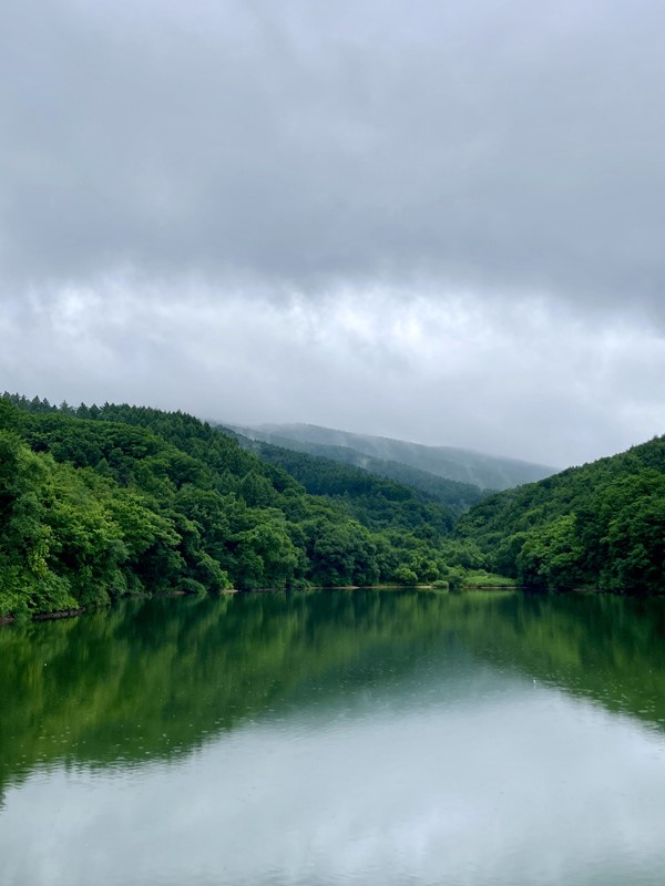 冰砬山國家森林公園。人民網(wǎng)記者 孝媛攝