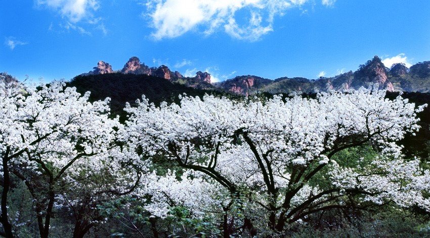 千山景區(qū)供圖